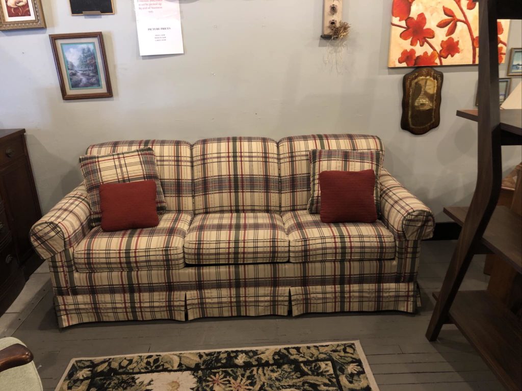 A stunning pullout couch. Excellent condition - $350.00