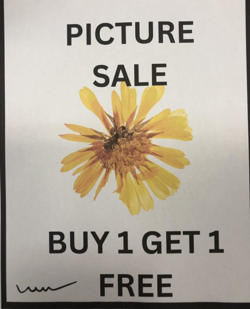Picture Sale buy one get one free