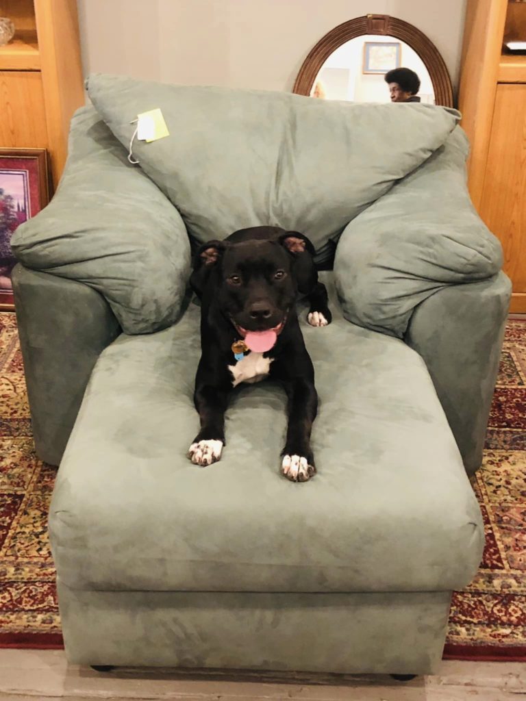 Luna with chair